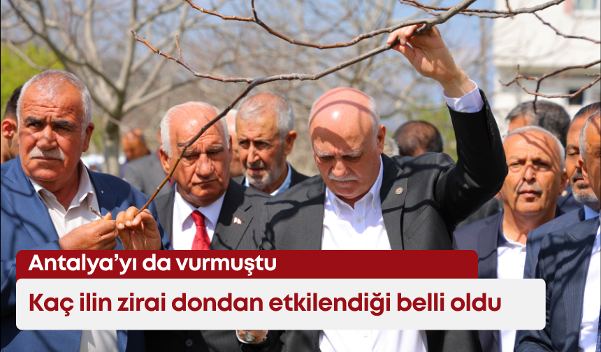Antalya’yı da vurmuştu:  Kaç ilin zirai dondan etkilendiği belli oldu