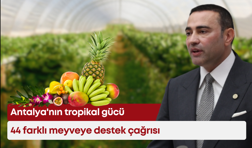 Antalya'nın tropikal gücü: 44 farklı meyveye destek çağrısı