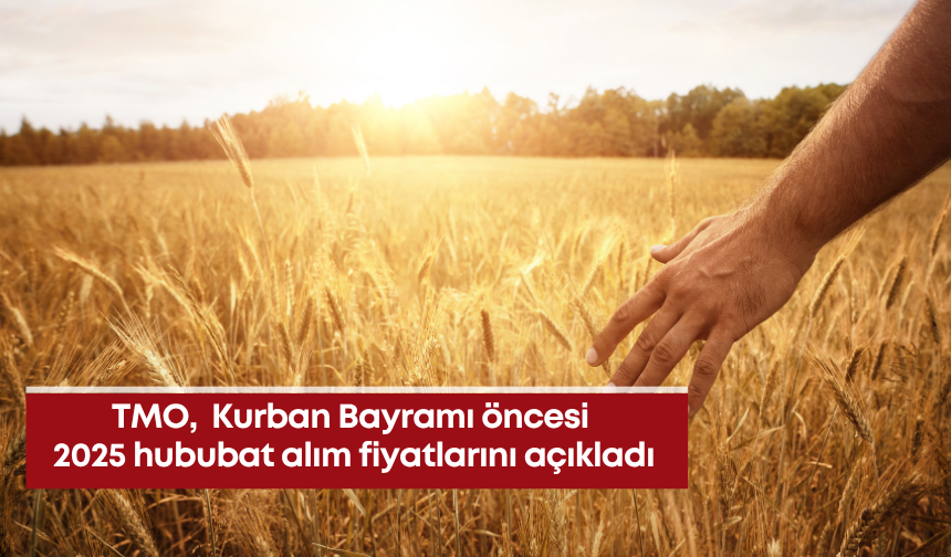 TMO,  Kurban Bayramı öncesi 2025 hububat alım fiyatlarını açıkladı