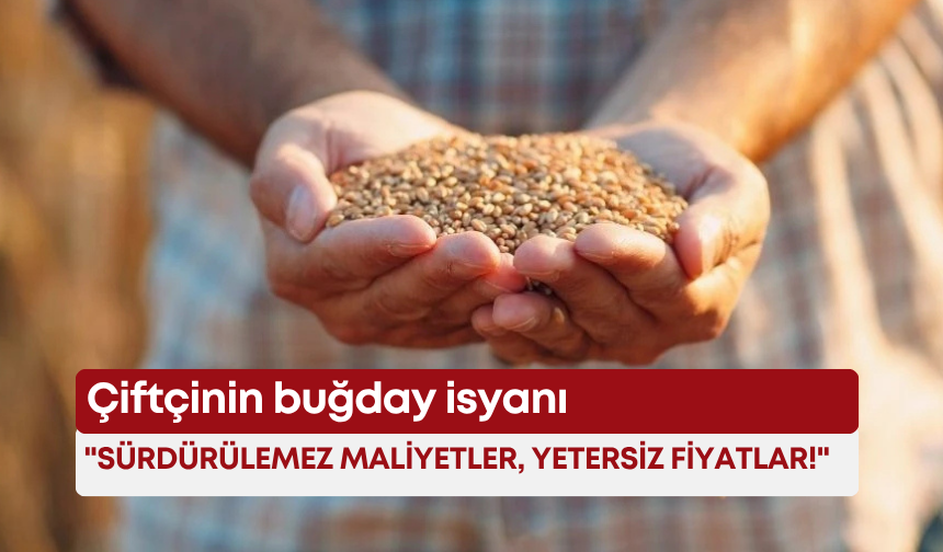 Çiftçinin buğday isyanı: "Sürdürülemez maliyetler, yetersiz fiyatlar!"