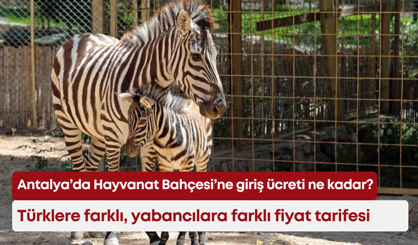 Antalya’da Hayvanat Bahçesi’ne giriş ücreti ne kadar? Türklere farklı, yabancılara farklı fiyat tarifesi
