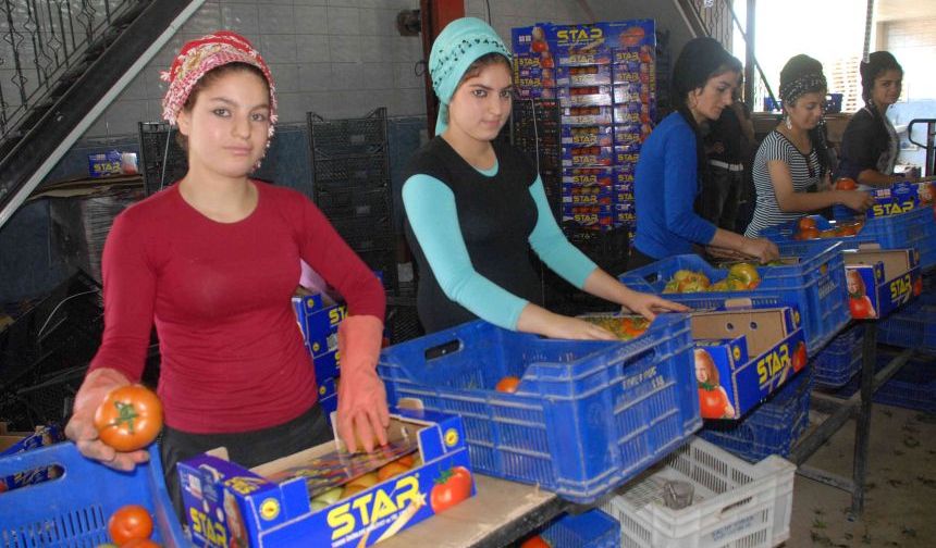 Dört tarafı denizlerle çevrili ülkemizde su ürünleri başarısı Muğla'dan geldi