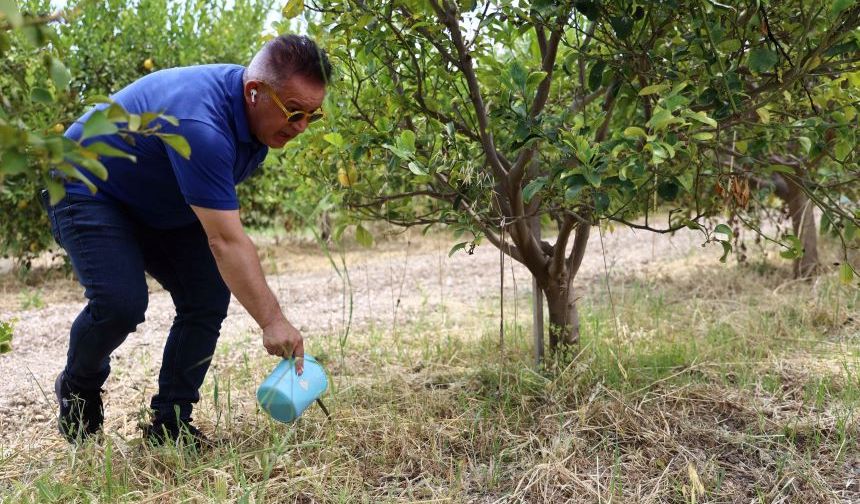 Antalya Büyükşehir'den bir ilk: Çiftçilere ücretsiz verilmesi planlanıyor