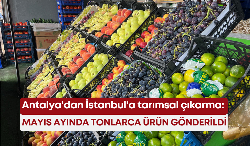 Antalya'dan İstanbul'a tarımsal çıkarma: Mayıs ayında tonlarca ürün gönderildi