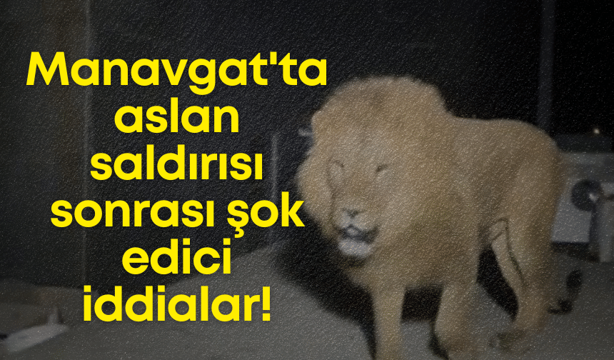 Manavgat'ta aslan saldırısı sonrası şok edici iddialar!