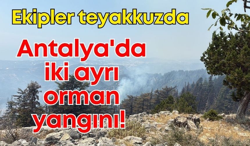Antalya'da iki ayrı orman yangını: Ekipler teyakkuzda!