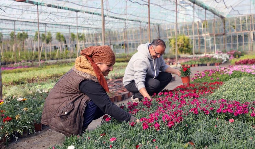 Muğla'da 27 milyonu aşkın çiçek üretildi