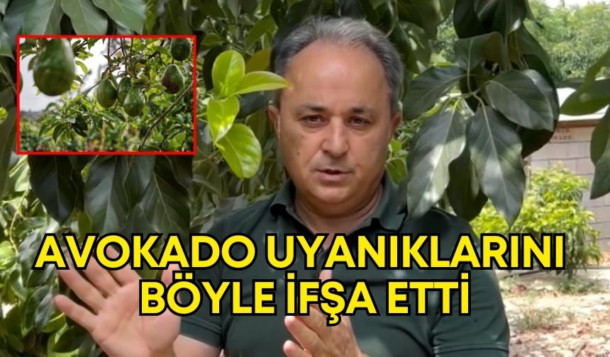 Antalya’da eski başkandan veryansın! Avokado uyanıklarını böyle ifşa etti!