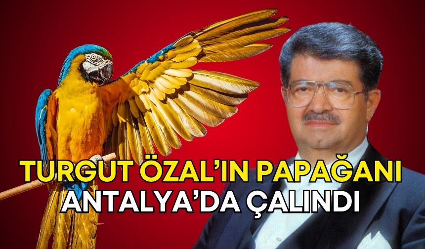 Eski Cumhurbaşkanı Özal’ın papağanı Cabbar Antalya’da çalındı