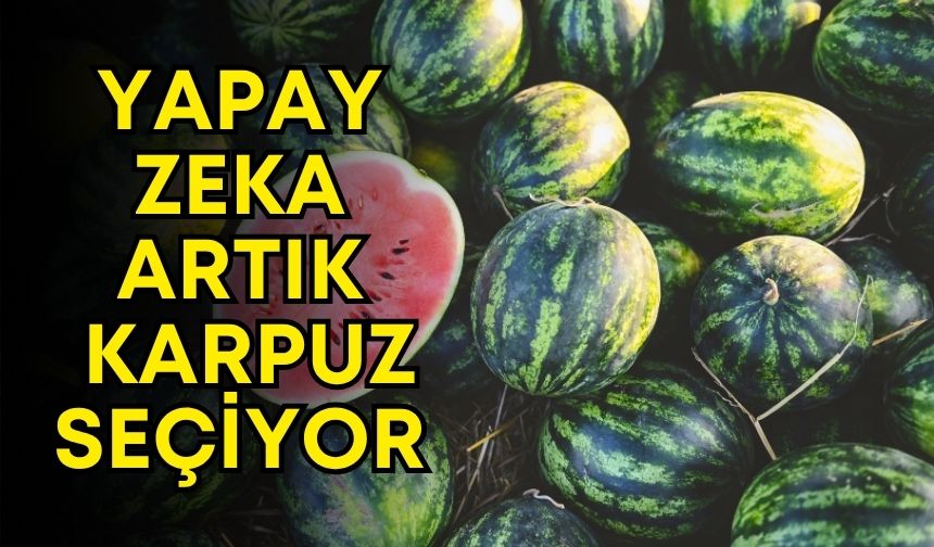Yapay zeka sınırlarını aştı! Artık Konya’da karpuz seçiyor