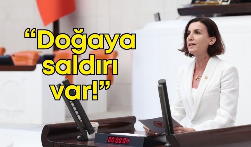 CHP’li Coşar’dan Gürlevik alarmı: "Hayvancılık ve su kaynakları tehlikede!"