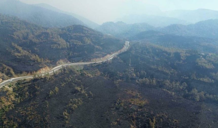 Köyceğiz’de 63 saatlik alev savaşı: 3 bin hektar orman yandı