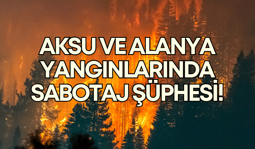 Ali Adnan Kaya: "Aksu ve Alanya'daki orman yangınlarında sabotaj şüphesi var"