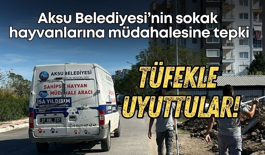 Aksu Belediyesi’nin sokak hayvanlarına müdahalesi tepki çekti