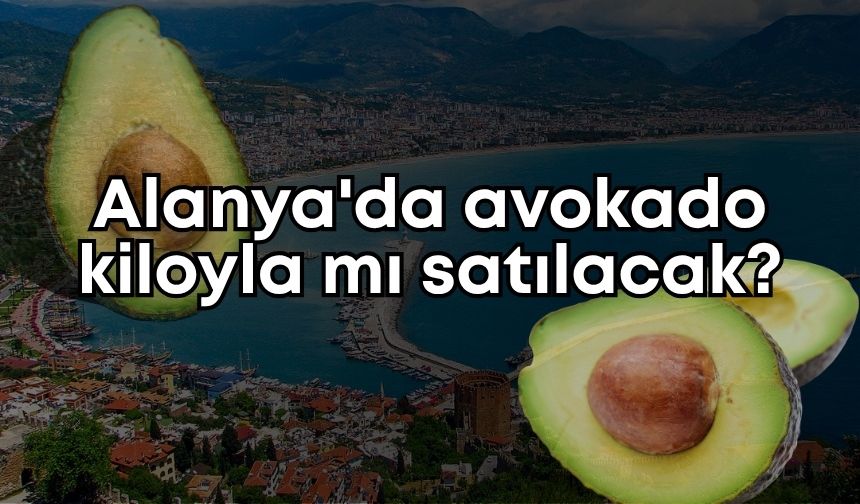 Alanya'da avokado kiloyla mı satılacak?