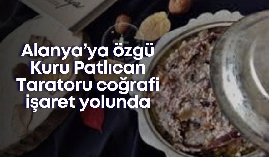 Alanya’ya özgü Kuru Patlıcan Taratoru coğrafi işaret yolunda