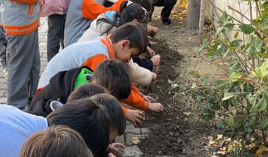 Konya'dan Yüksekova'ya Cumhuriyet hediyesi: Ata tohumları toprakla buluştu