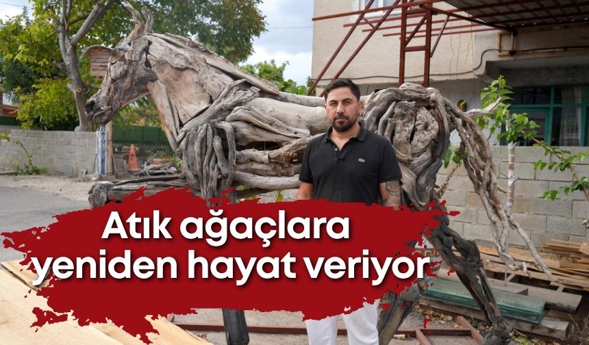 Atık ağaçlara yeniden hayat veriyor
