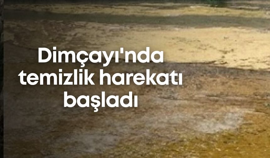 Dimçayı'nda temizlik harekatı başladı