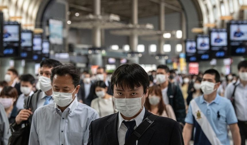 Japonya'da kuş gribi salgını patladı! Yaklaşık 460 bin tavuk itlaf edilecek