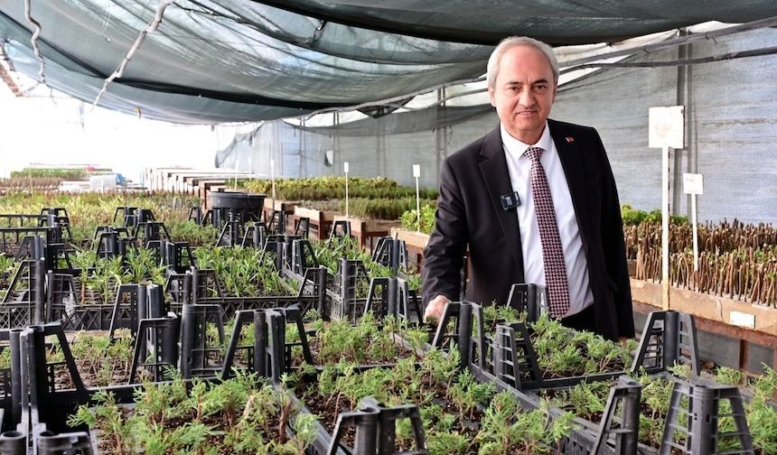 Kepez Belediyesi'nden iklime dirençli yeşil dönüşüm