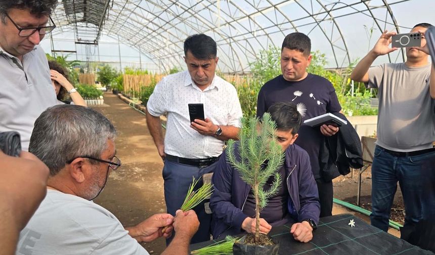 Özbekistan heyeti, Türkiye Ormancılık iş birliği kapsamında Muğla'da incelemelerde bulundu