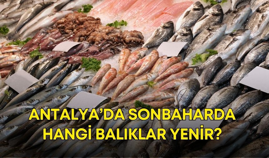 Antalya’da sonbaharda hangi balıklar yenir?