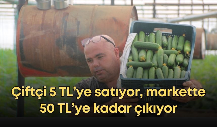 Antalya’da salatalık krizi: Çiftçi 5 TL’ye satıyor, markette 50 TL’ye kadar çıkıyor