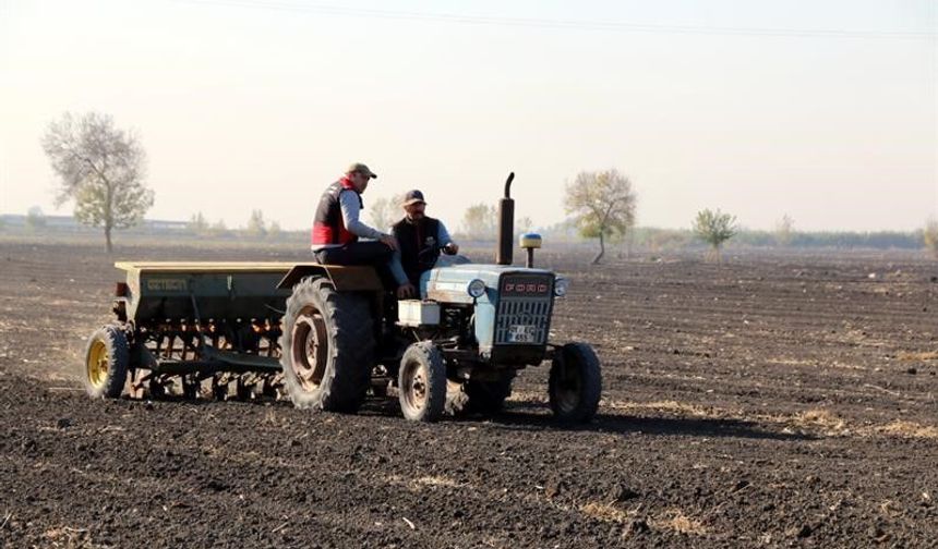 Adana’da 480 dekar mera alanı ıslah ediliyor