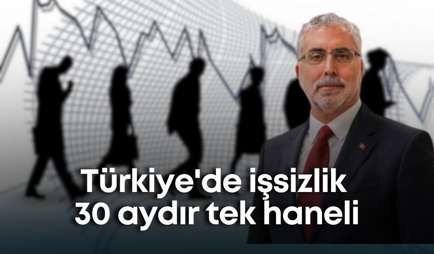 Çalışma Bakanı açıkladı: Türkiye'de işsizlik 30 aydır tek hanede