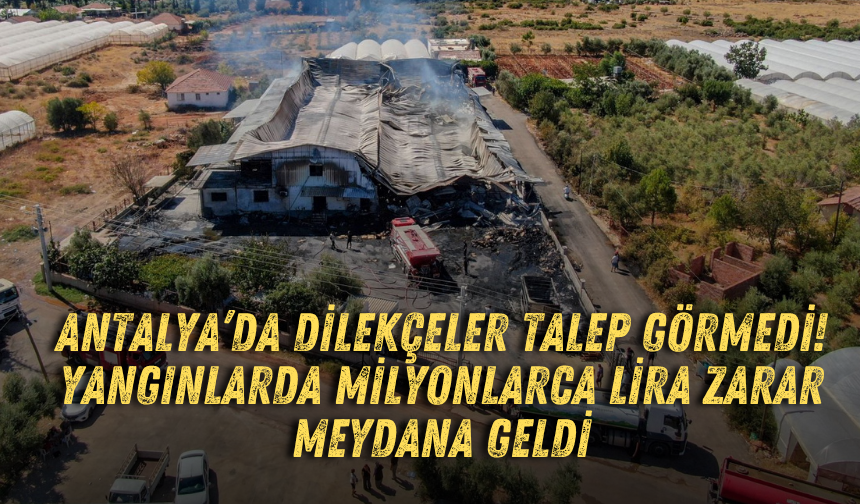 Antalya’da dilekçeler talep görmedi! Yangınlarda milyonlarca lira zarar meydana geldi