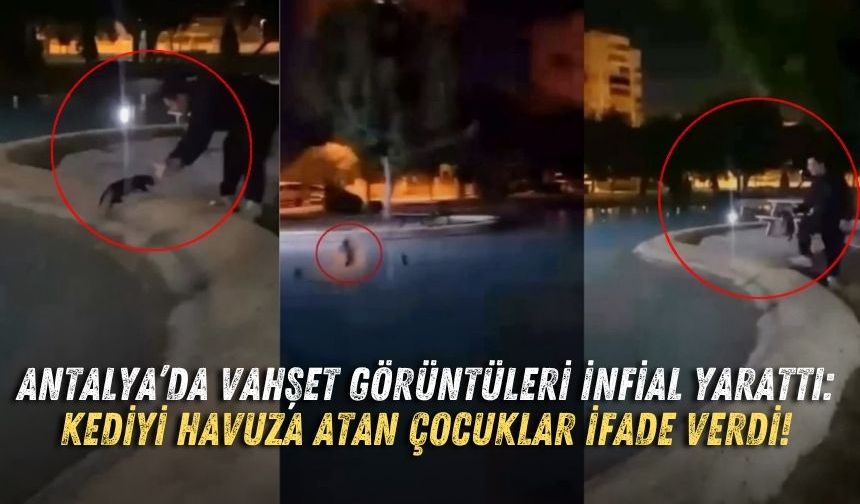 Antalya’da vahşet görüntüleri infial yarattı! Kediyi havuza atan çocuklar ifade verdi