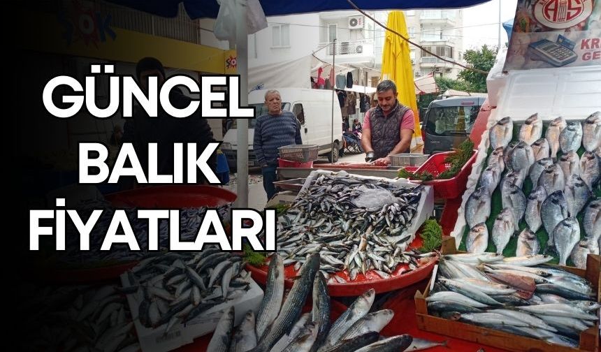 Antalya’da balık zamanı! Güncel balık fiyatları