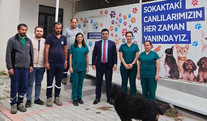 Gazipaşa Belediyesi’nden sokaktaki can dostlar için yeni proje