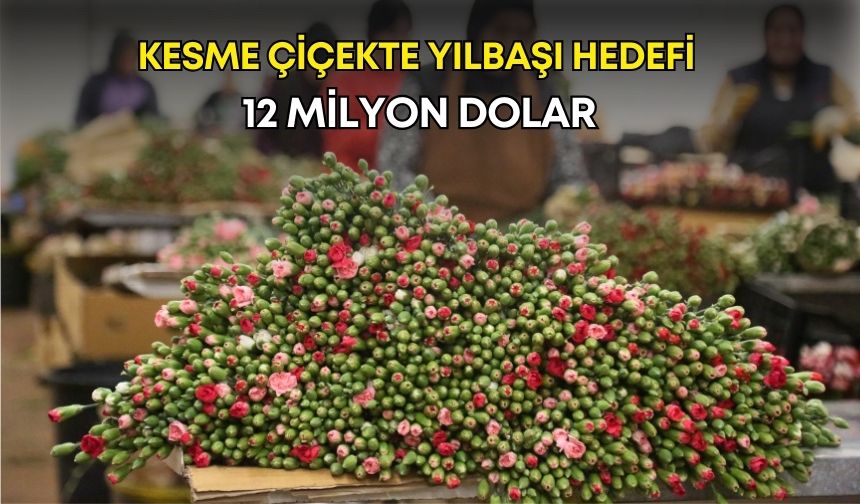 Kesme çiçekte yılbaşı hedefi 12 milyon dolar