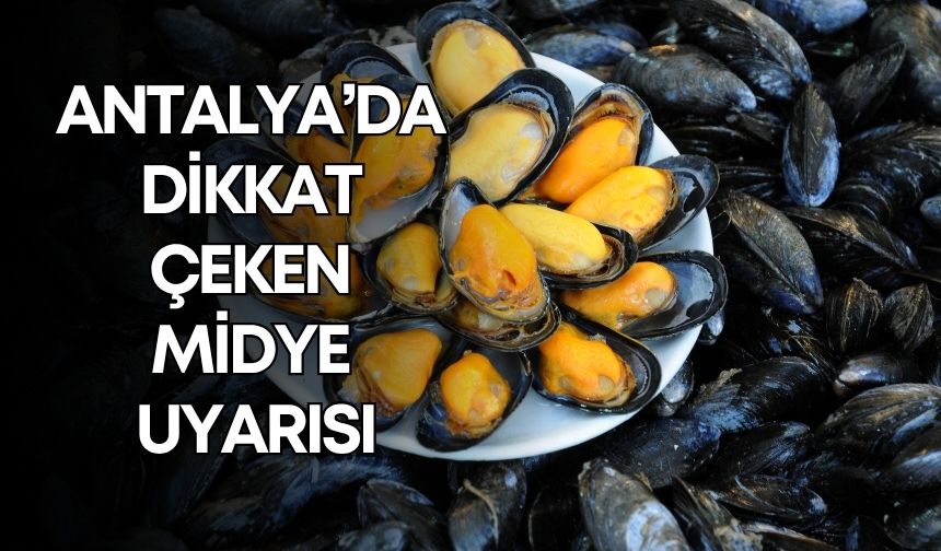 İstanbul’da bir aile yok oldu! Antalya’da dikkat çeken midye uyarısı