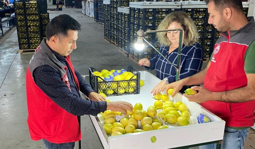 Muğla’dan ihraç edilecek tarım ürünleri karantina kontrolünden başarıyla geçti