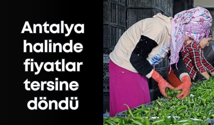 Antalya halinde fiyatlar tersine döndü