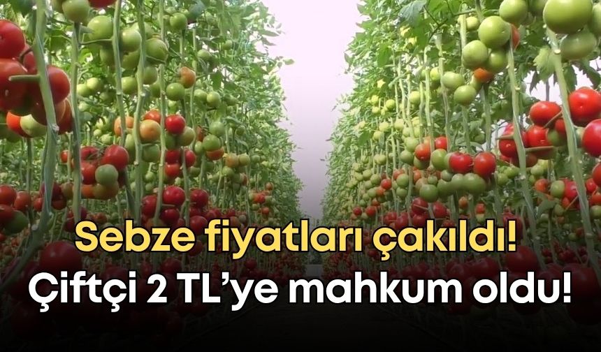 Antalya’da sebze fiyatları çakıldı! Çiftçi 2 TL’ye mahkum oldu!