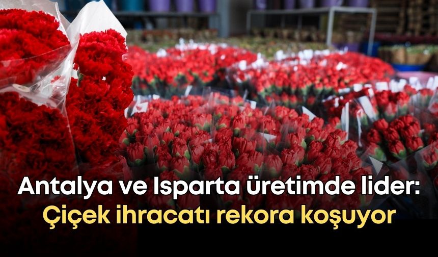 Antalya ve Isparta üretimde lider: Çiçek ihracatı rekora koşuyor