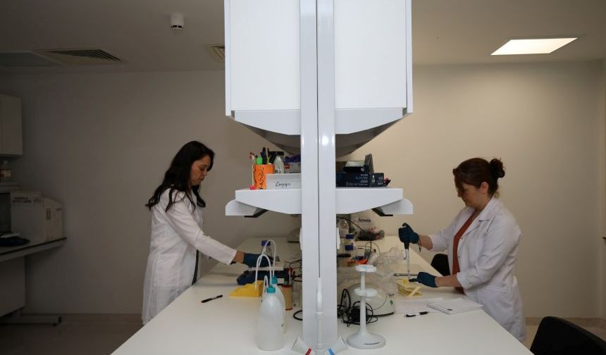 Akdeniz Üniversitesi’nden büyük başarı: İlk 20’de yer aldı