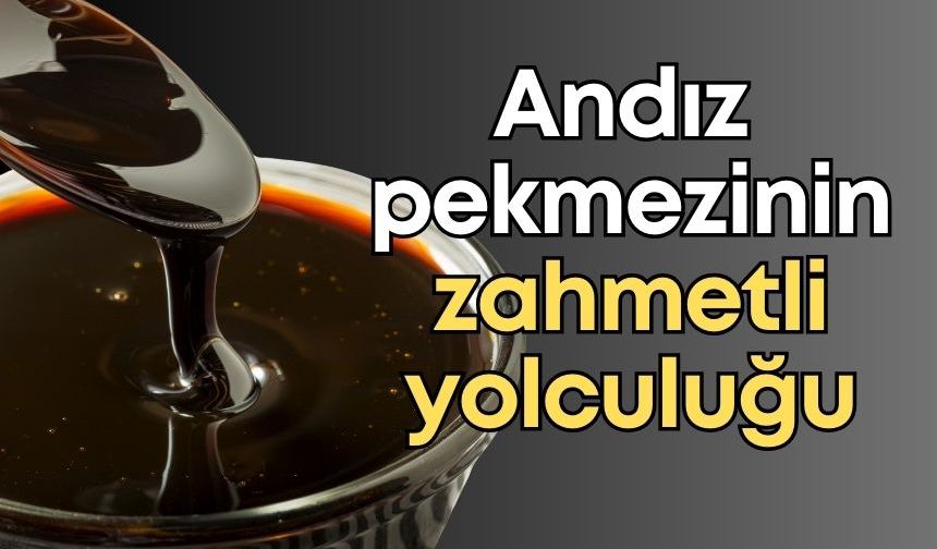 Toroslar’da şifa kazanları kaynıyor! Andız pekmezinin zahmetli yolculuğu