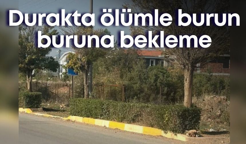 Antalya’da durak çilesi! Yolcular ölümle burun buruna
