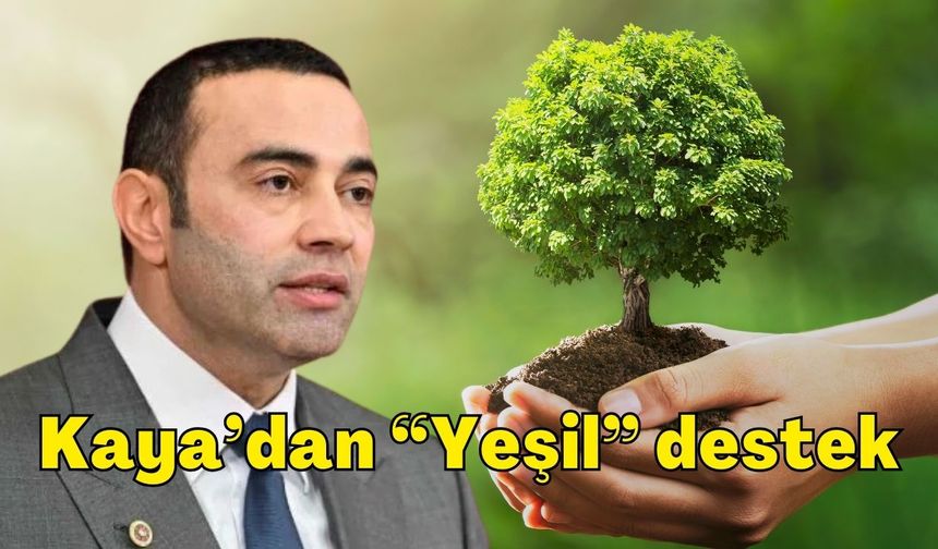 CHP’li Aykut Kaya’dan zeytin fidanı dağıtımına destek