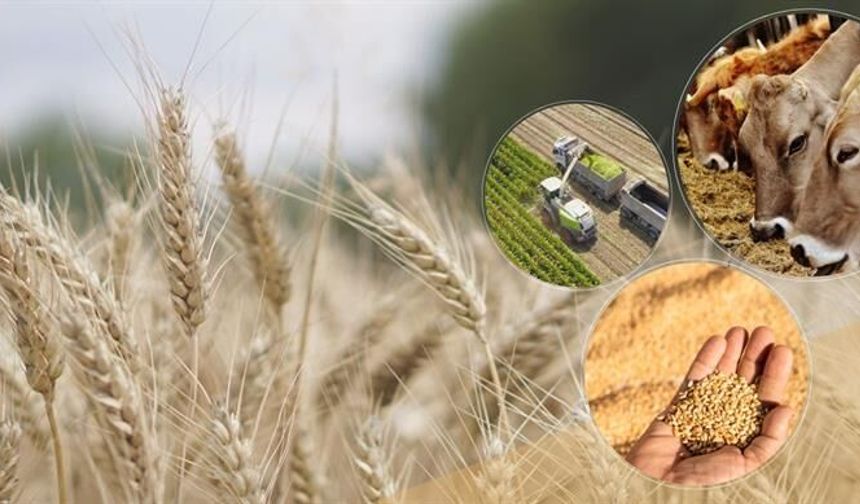 Bakan Yumaklı, çiftçilere verilecek destek ödemesini açıkladı