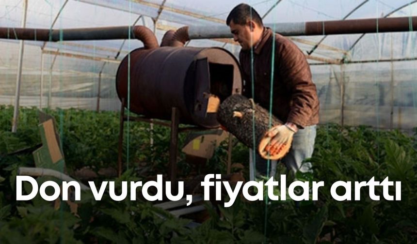 Antalya’da çiftçinin yüzünü soğuk güldürdü!