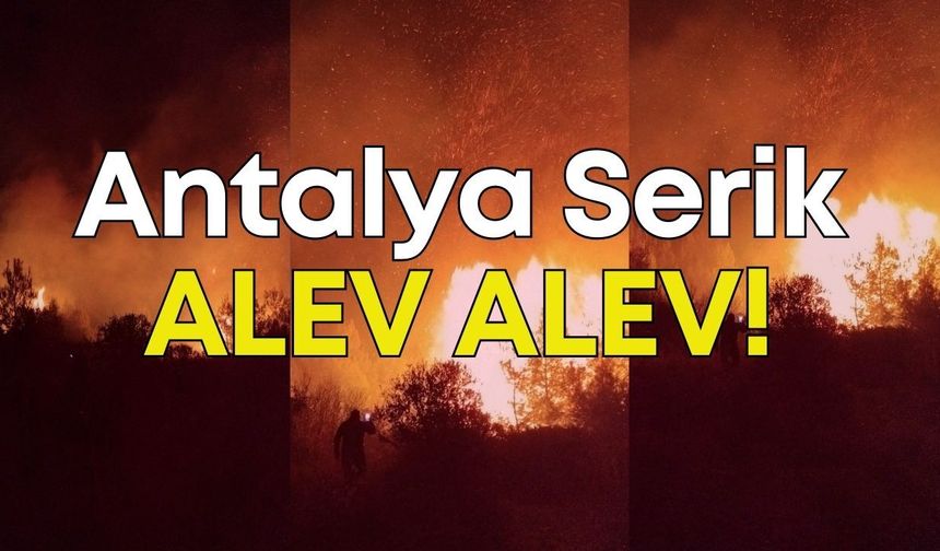 Antalya Serik’te orman yangını!