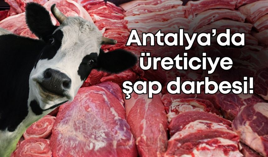 Antalya’da üreticiye şap darbesi! Et fiyatlarında zam beklentisi