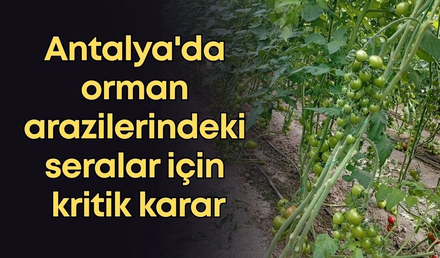 Antalya'da orman arazilerindeki seralar için kritik karar