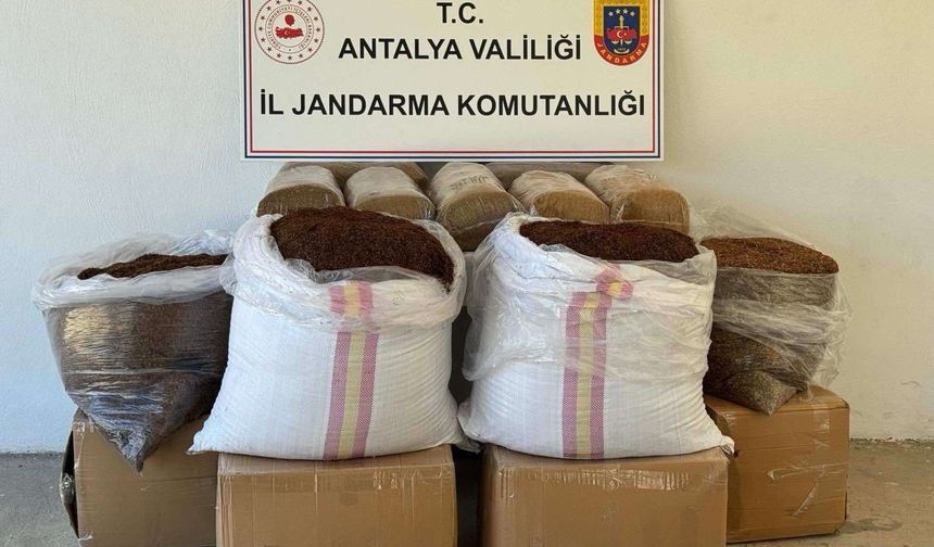 Gazipaşa'da yolcu otobüsünde 500 kg kaçak tütün ele geçirildi